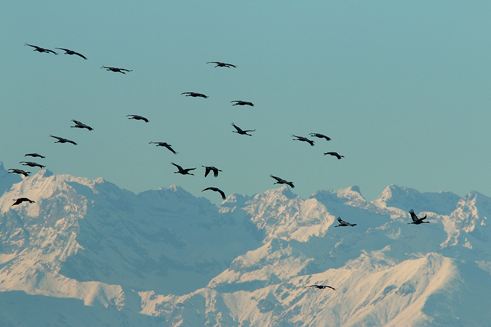 Ad ali spiegate, il sogno di Icaro.